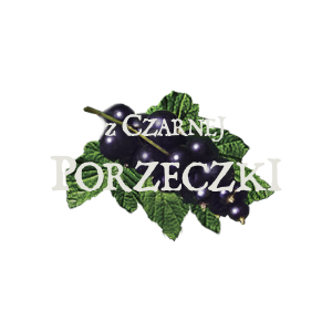 Czarna porzeczka