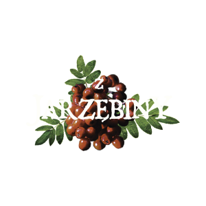 Jarzębina