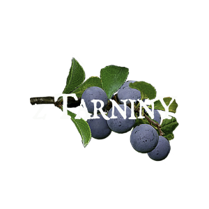 Tarnina